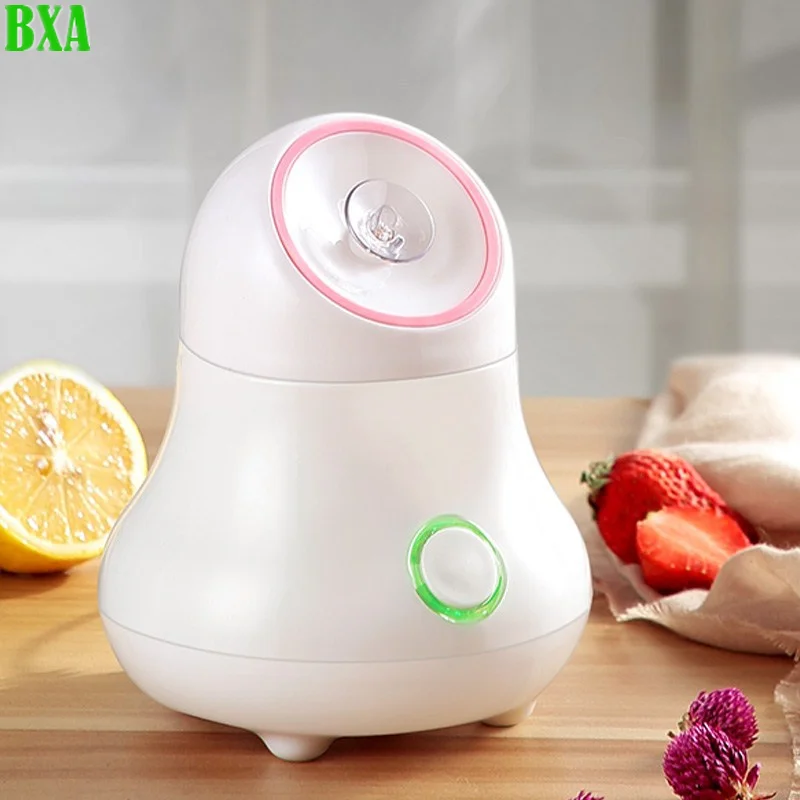 Facial Steamer Nano - 果物と野菜のフェイシャルスチーマー,イオンフェイススプレー加湿器,ミストスプレー,熱保湿剤,サウナ,スパ