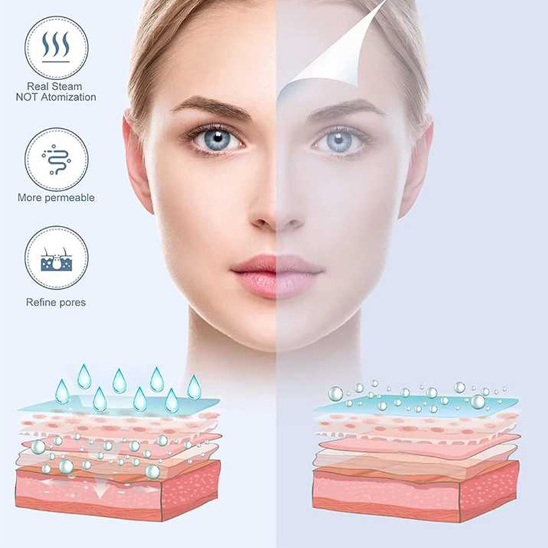 プロフェッショナルケアミニ家電 フェイスノーズホットスパスチ - Facial Steamer Nano のレビューと価格